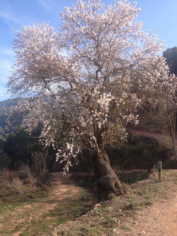 Masia Casajoana Rural Rellinars Екстер'єр фото