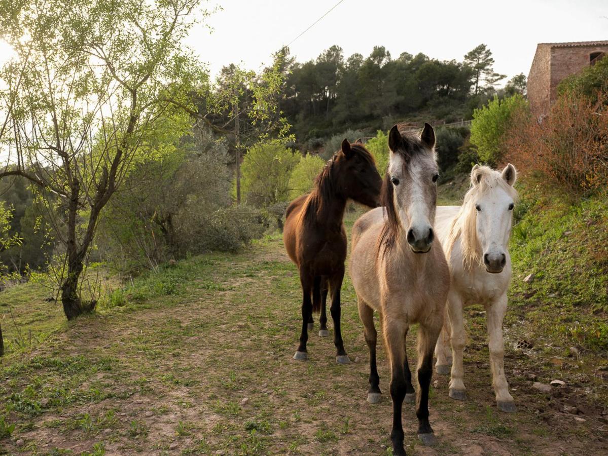 Masia Casajoana Rural Rellinars Екстер'єр фото